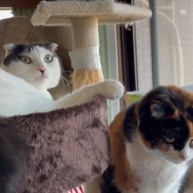 新旧交代のタイミングは難しいの画像