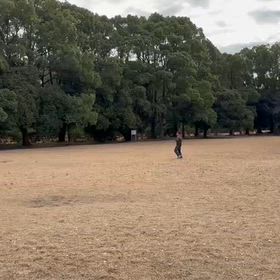 ジャベリックボール投げ記録会⑨の画像