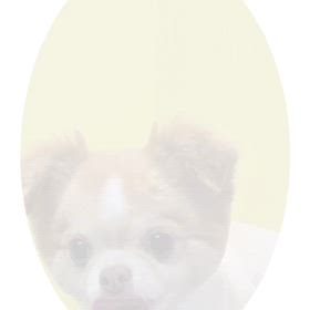 DOGXDOG アランくんの画像