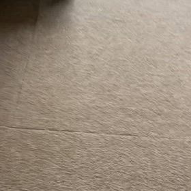 2024/08/17今週のハナの画像