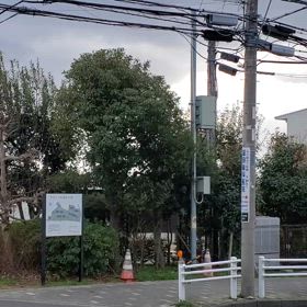 異例の速さ～春一番の画像