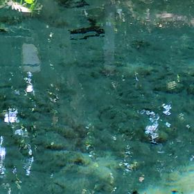 静かに水面下での画像