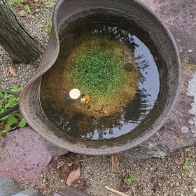 こんにちは。(4月28日)の画像