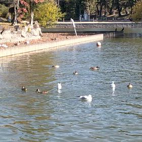 足らないことで足ることを知ったの画像