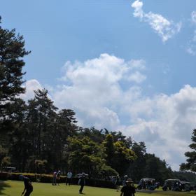 大きなコンペですの画像