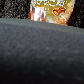 行け友よ ライオン丸よ　下手くそ弾き語り五周年の画像