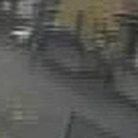 鍵を開ける音で開けて、入るまで観察してましたの画像