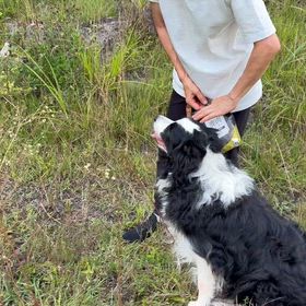 ほかちゃんが…の画像