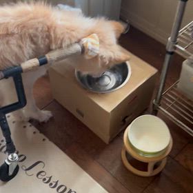 大胆不敵な優奈ちゃんパート2の画像