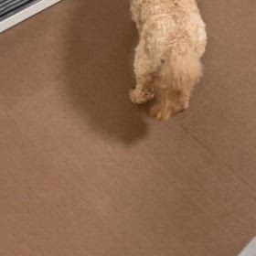 心配で…涙が出ちゃうの画像