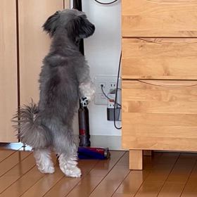 そこ何にも無いよーの画像