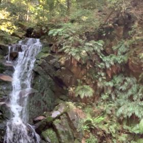 味わう　感覚が　の画像