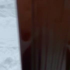 大雪の画像