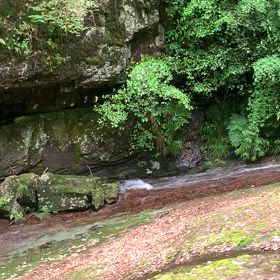 KIN86   白い世界の橋渡し　青い嵐　音8の画像