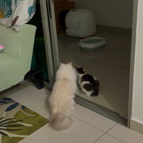 次女との闘い vol.2 〜Pee戦争 〜  pee warの画像