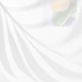 第22回SNS連花「色をひきつぐ」を振り返って | 斎藤 隆信 溝の口