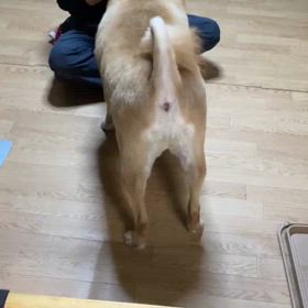 大好きなお菓子の画像