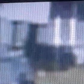 遮光カーテン部はさわらずにレースを巡って観るの画像