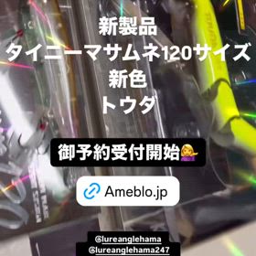 カエス新作タイニーマサムネ120，新色トウダ店頭展示の画像
