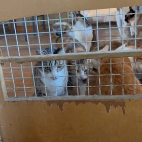 朝の風景の画像