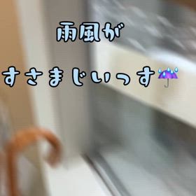 膝神伝。ホ。の画像