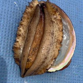 もう！エッチなんだから！の画像