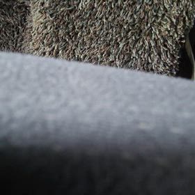 恋する夏の日の画像