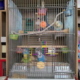 おはようございますの画像