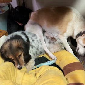 動画見てね〜の画像