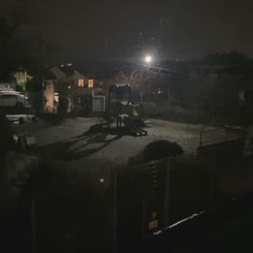 新たな一歩の画像