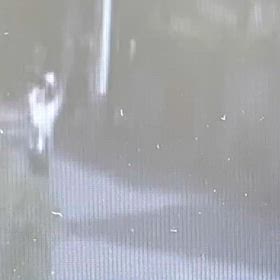 今朝は47分。不審な動きはなし。の画像