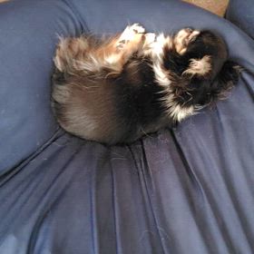 最近感じる老いについての画像