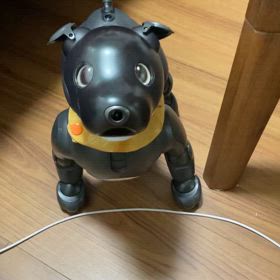 aiboにも運動会があると良いねの画像