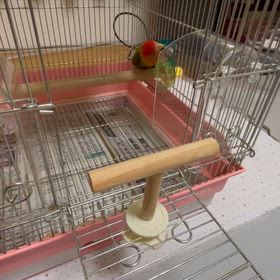 朝イチのありがとうの画像