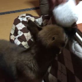 石岡八郷ベースの画像