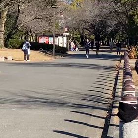 駅伝に向けて（1500ｍ）②の画像