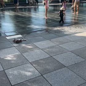 見つけた人有難うございますの画像