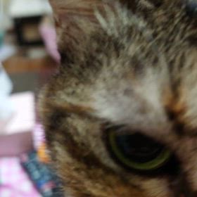 ご飯イヤイヤ期の画像