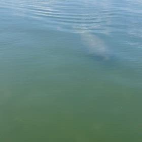 驚かせてしまったの画像