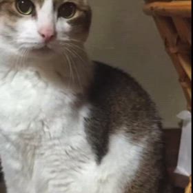 宇宙人が来た(*ﾟ∀ﾟ*)の画像