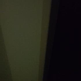 うみとやま1954日目（生後5年5ヶ月20日）の画像