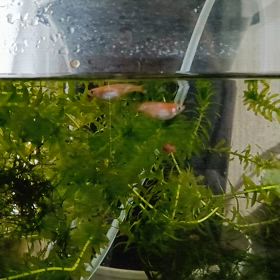 自分の味方になるの画像