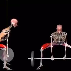 骨格で見るトレーニングの画像