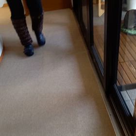 今朝のみーたんの画像