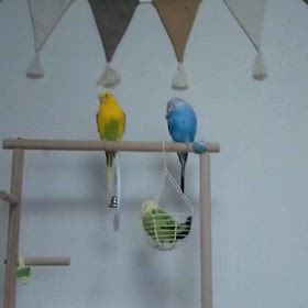 あけましておめでとうございますの画像