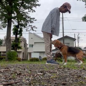 練習してみたの画像