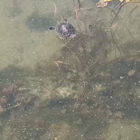 時間を持て余してます。の画像