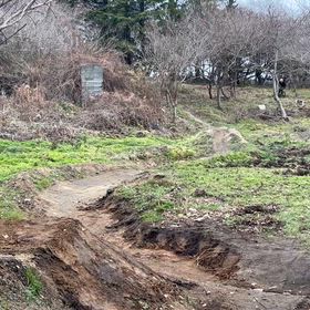 初売りは本日24時までですの画像