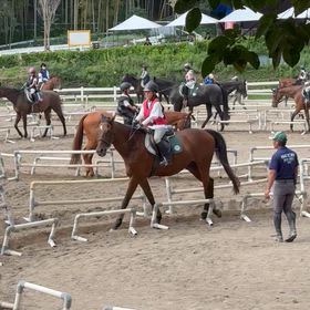 チルドレンB （駈歩B） 4チェック合格の画像