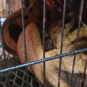 本年もありがとうございましたの画像